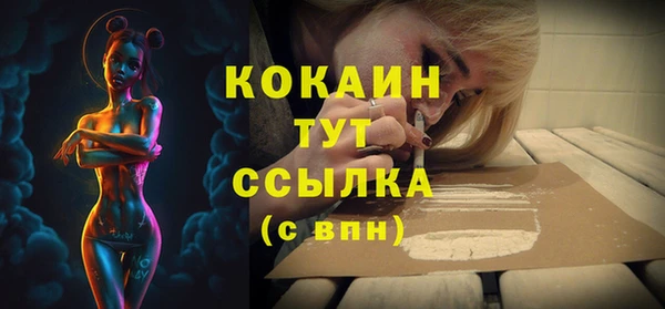 ECSTASY Гусев