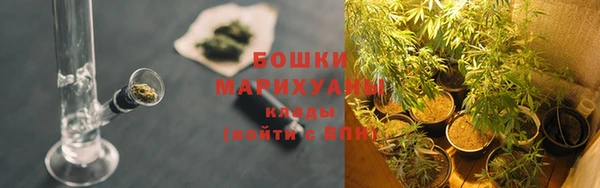 ECSTASY Гусев