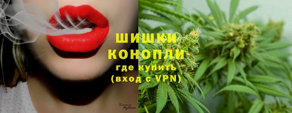 ECSTASY Гусев