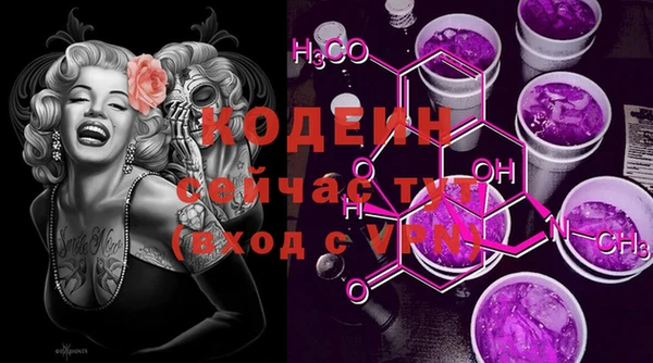 ECSTASY Гусев