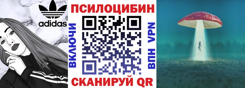 купить наркотик  Чухлома  Галлюциногенные грибы Magic Shrooms 